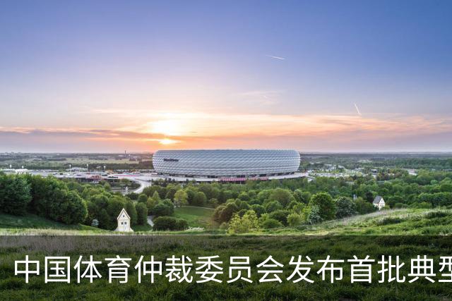 中国体育仲裁委员会发布首批典型案例